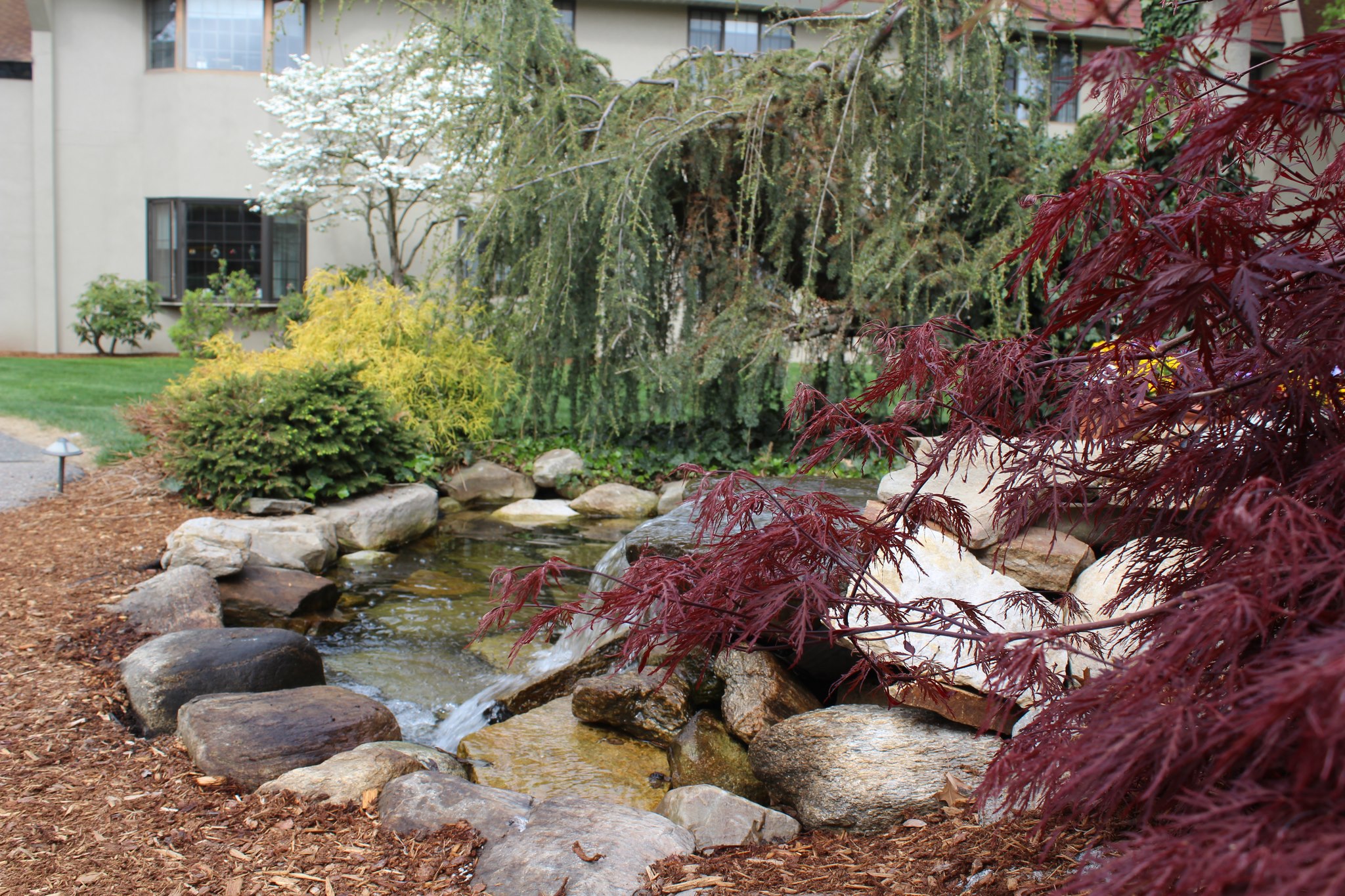 Senior Housing Beaumont at Westborough a SALMON rehabilitation